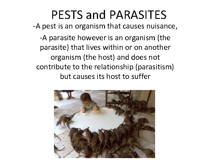 PESTS and PARASITES -A pest is an organism that causes nuisance, -A parasite however