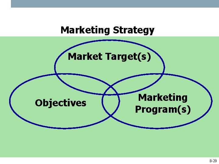 Marketing Strategy Market Target(s) Objectives Marketing Program(s) 8 -29 