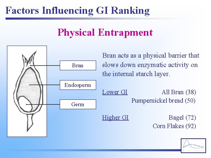 Factors Influencing GI Ranking Physical Entrapment Bran acts as a physical barrier that slows