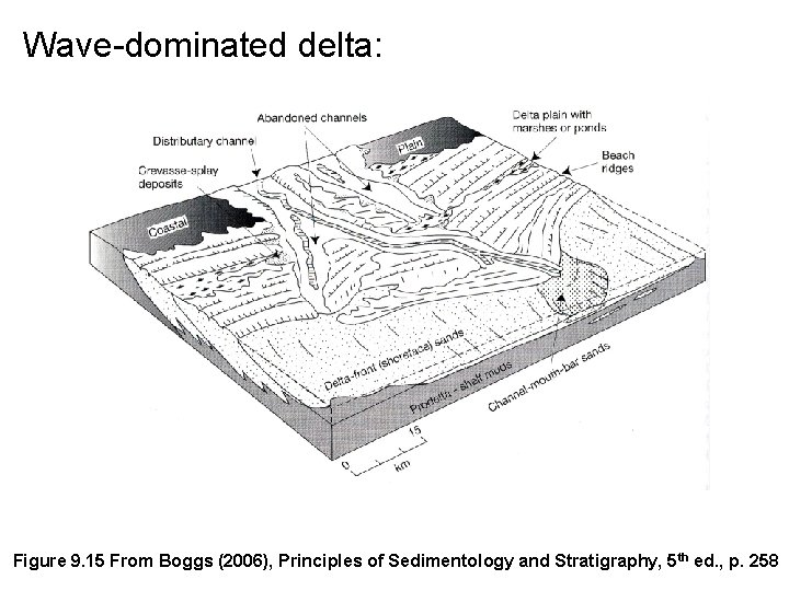 Wave-dominated delta: Figure 9. 15 From Boggs (2006), Principles of Sedimentology and Stratigraphy, 5