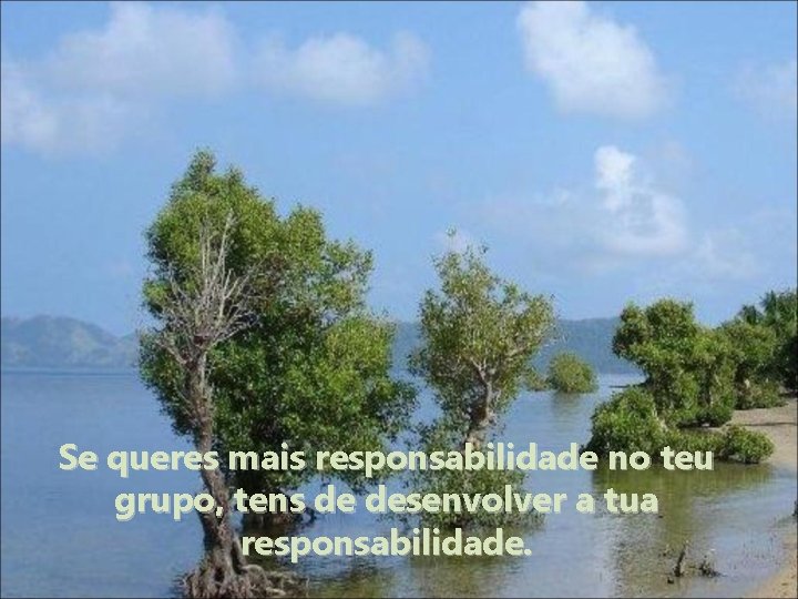 Se queres mais responsabilidade no teu grupo, tens de desenvolver a tua responsabilidade. 