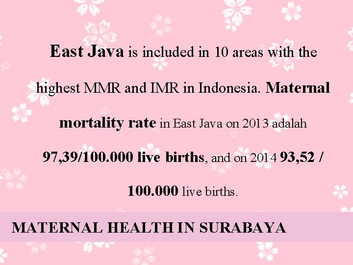 East Java is included in 10 areas with the highest MMR and IMR in