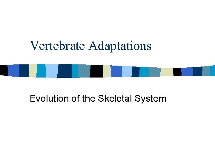 Vertebrate Adaptations Evolution of the Skeletal System 