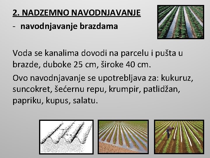 2. NADZEMNO NAVODNJAVANJE - navodnjavanje brazdama Voda se kanalima dovodi na parcelu i pušta