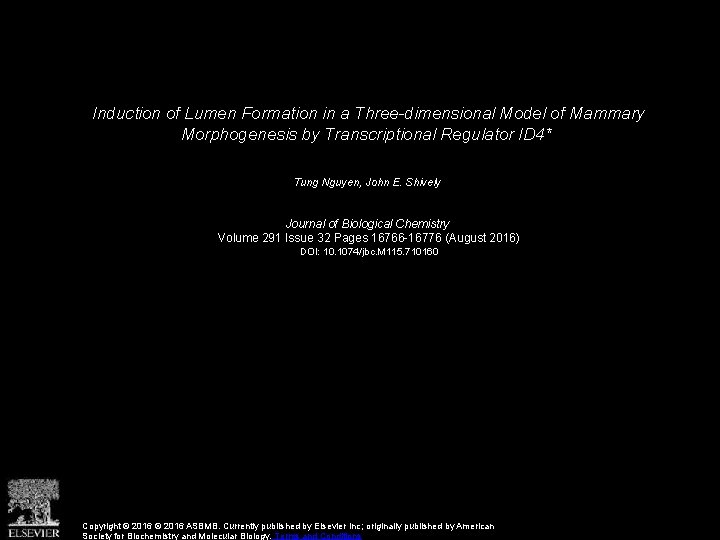 Induction of Lumen Formation in a Three-dimensional Model of Mammary Morphogenesis by Transcriptional Regulator Induction of Lumen Formation in a Three-dimensional Model of Mammary Morphogenesis by Transcriptional Regulator