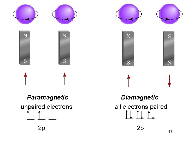 Paramagnetic unpaired electrons 2 p Diamagnetic all electrons paired 2 p 43 