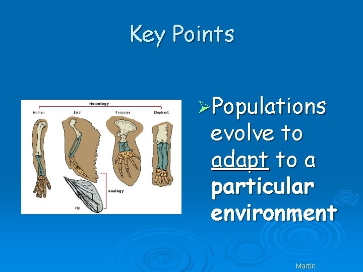 Key Points ØPopulations evolve to adapt to a particular environment Martin 