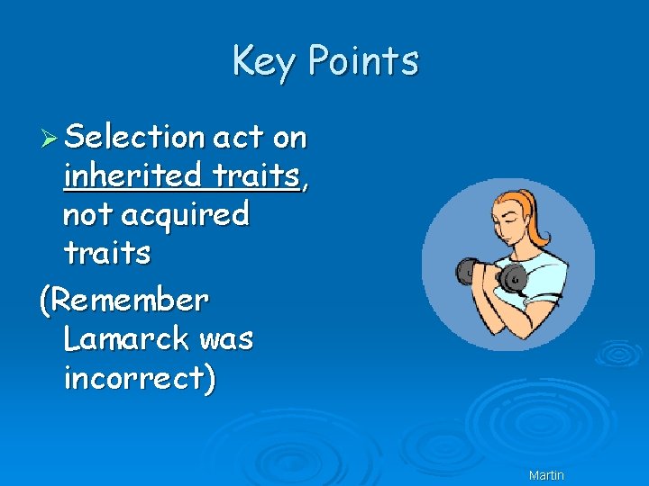 Key Points Ø Selection act on inherited traits, not acquired traits (Remember Lamarck was