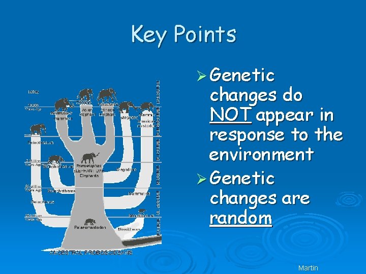 Key Points Ø Genetic changes do NOT appear in response to the environment Ø