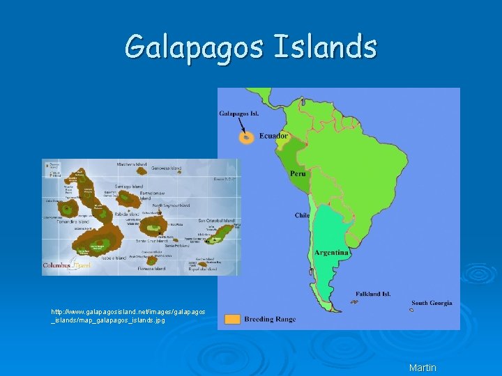 Galapagos Islands http: //www. galapagosisland. net/images/galapagos _islands/map_galapagos_islands. jpg Martin 