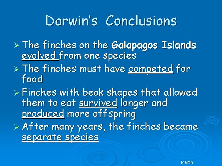 Darwin’s Conclusions Ø The finches on the Galapagos Islands evolved from one species Ø