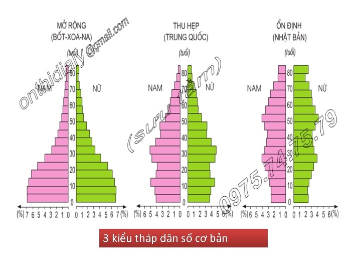 3 kiểu tháp dân số cơ bản 