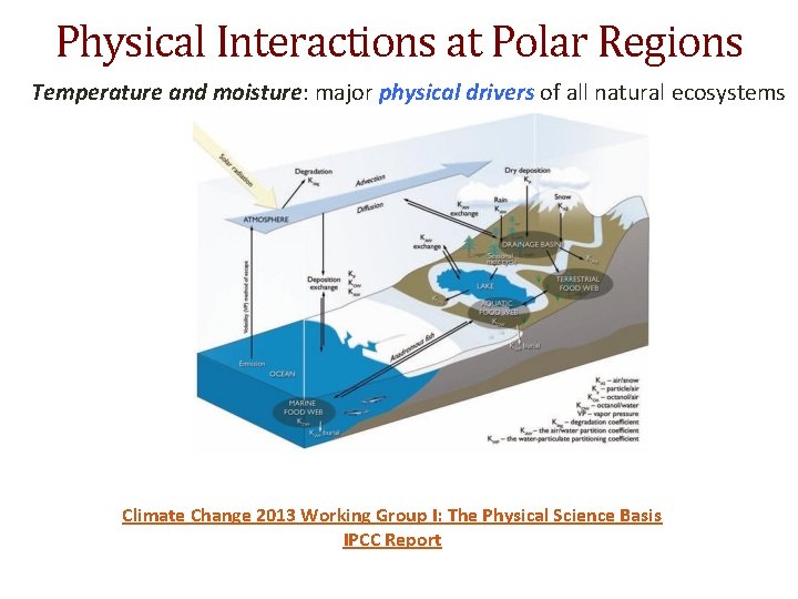 Physical Interactions at Polar Regions Temperature and moisture: major physical drivers of all natural