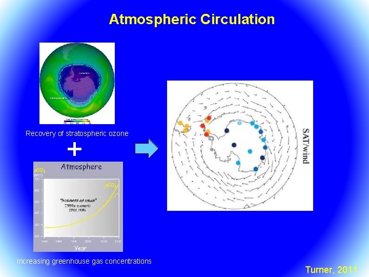 Atmospheric Circulation Recovery of stratospheric ozone + Increasing greenhouse gas concentrations Turner, 2011 