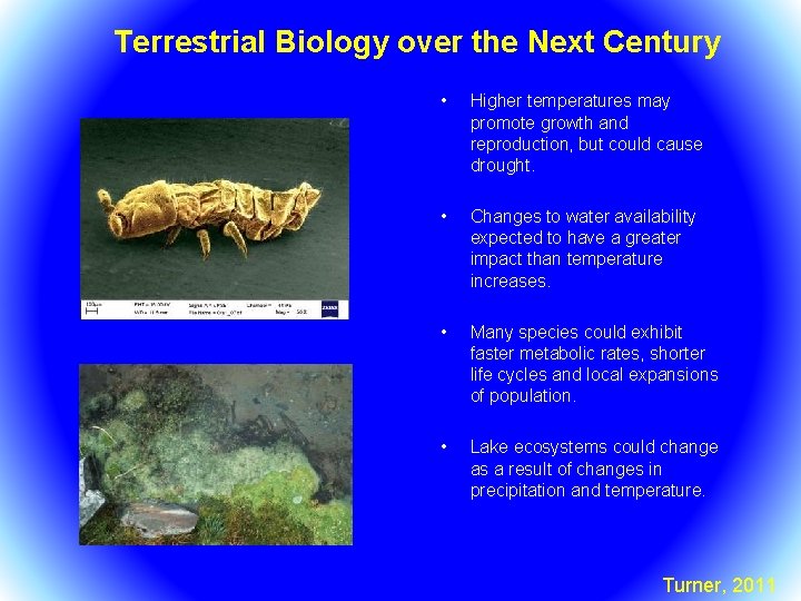 Terrestrial Biology over the Next Century • Higher temperatures may promote growth and reproduction,