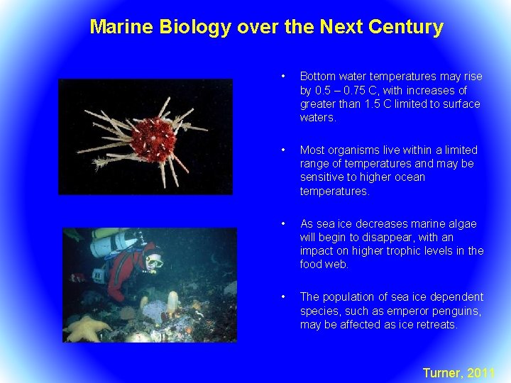 Marine Biology over the Next Century • Bottom water temperatures may rise by 0.