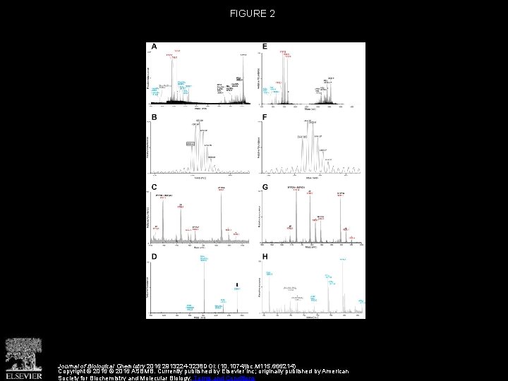 FIGURE 2 Journal of Biological Chemistry 2016 2913224 -3238 DOI: (10. 1074/jbc. M 115.