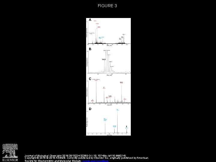 FIGURE 3 Journal of Biological Chemistry 2016 2913224 -3238 DOI: (10. 1074/jbc. M 115.