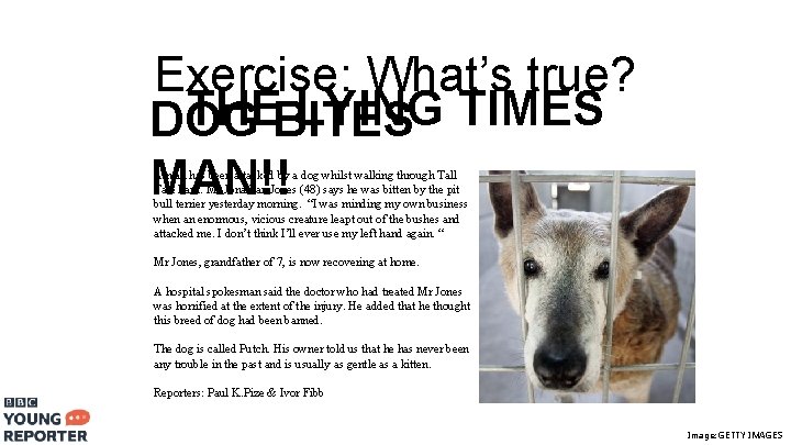 Exercise: What’s true? THEBITES LYING TIMES DOG MAN!! A man has been attacked by
