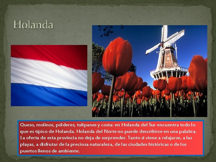 Holanda Queso, molinos, pólderes, tulipanes y costa: en Holanda del Sur encuentra todo lo