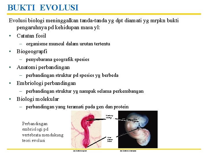 BUKTI EVOLUSI Evolusi biologi meninggalkan tanda-tanda yg dpt diamati yg mrpkn bukti pengaruhnya pd