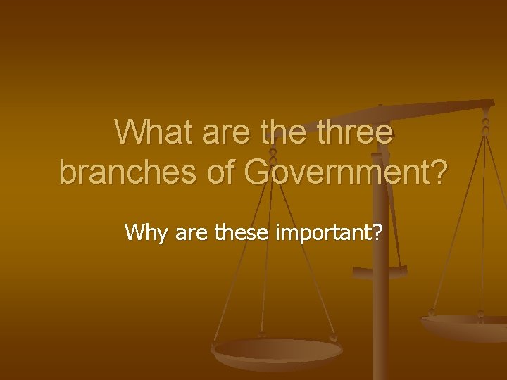 What are three branches of Government? Why are these important? 