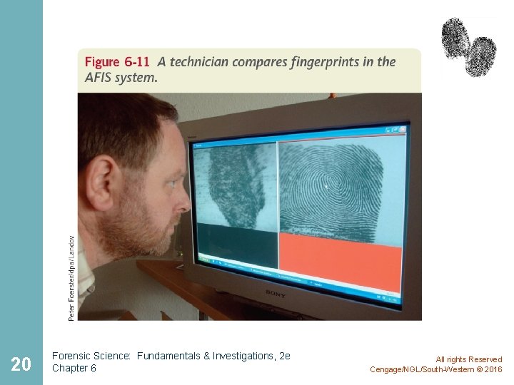 20 Forensic Science: Fundamentals & Investigations, 2 e Chapter 6 All rights Reserved Cengage/NGL/South-Western