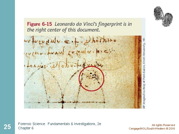 25 Forensic Science: Fundamentals & Investigations, 2 e Chapter 6 All rights Reserved Cengage/NGL/South-Western