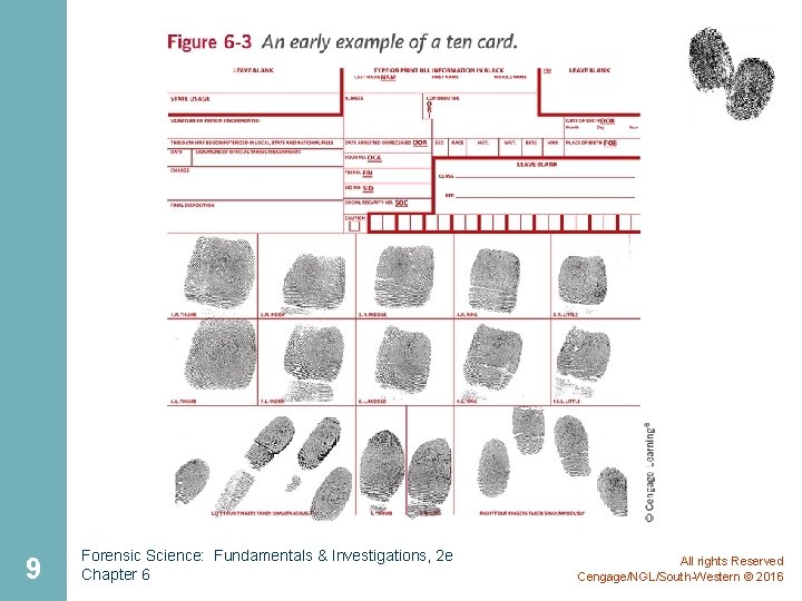 9 Forensic Science: Fundamentals & Investigations, 2 e Chapter 6 All rights Reserved Cengage/NGL/South-Western