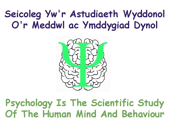 Seicoleg Yw'r Astudiaeth Wyddonol O'r Meddwl ac Ymddygiad Dynol Psychology Is The Scientific Study