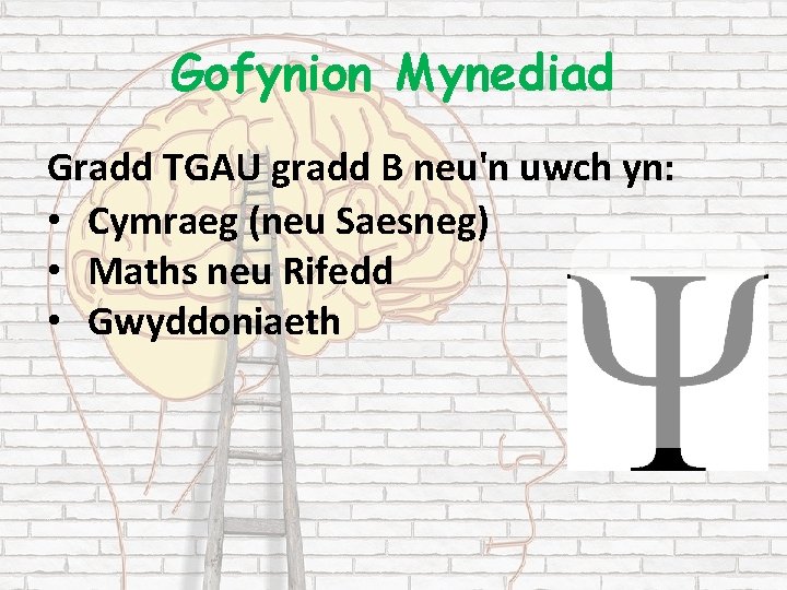 Gofynion Mynediad Gradd TGAU gradd B neu'n uwch yn: • Cymraeg (neu Saesneg) •