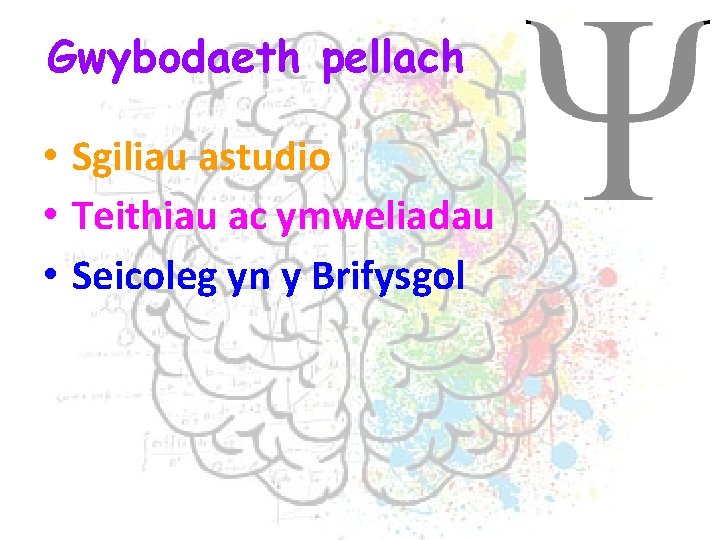 Gwybodaeth pellach • Sgiliau astudio • Teithiau ac ymweliadau • Seicoleg yn y Brifysgol