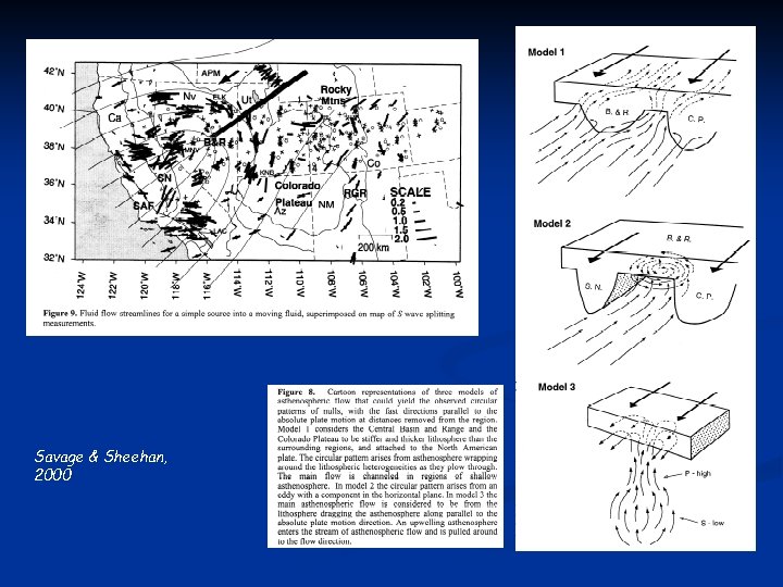 Savage & Sheehan, 2000 