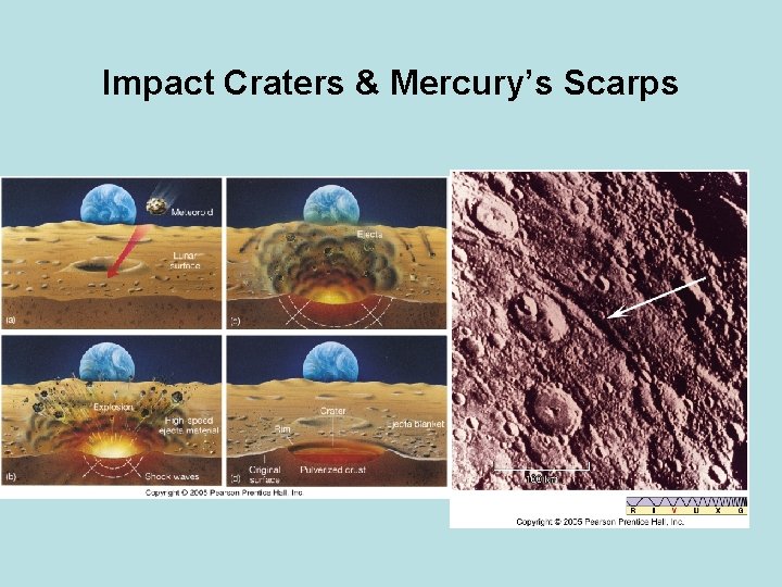 Impact Craters & Mercury’s Scarps 