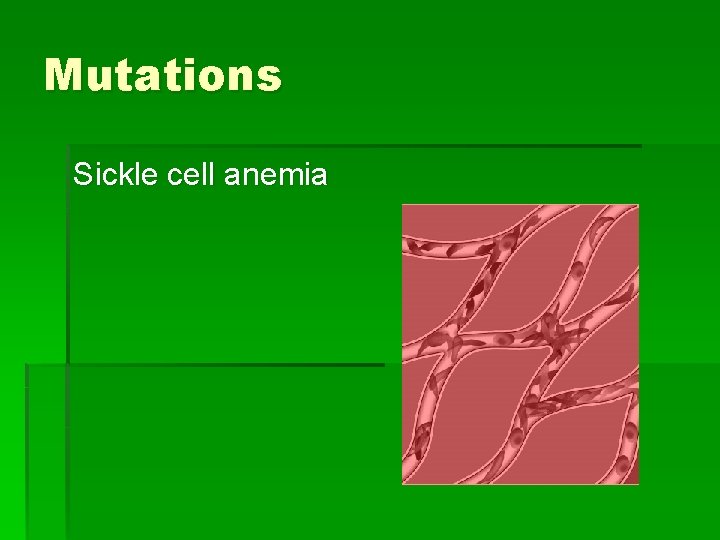 Mutations Sickle cell anemia 