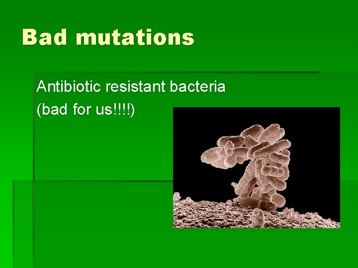 Bad mutations Antibiotic resistant bacteria (bad for us!!!!) 