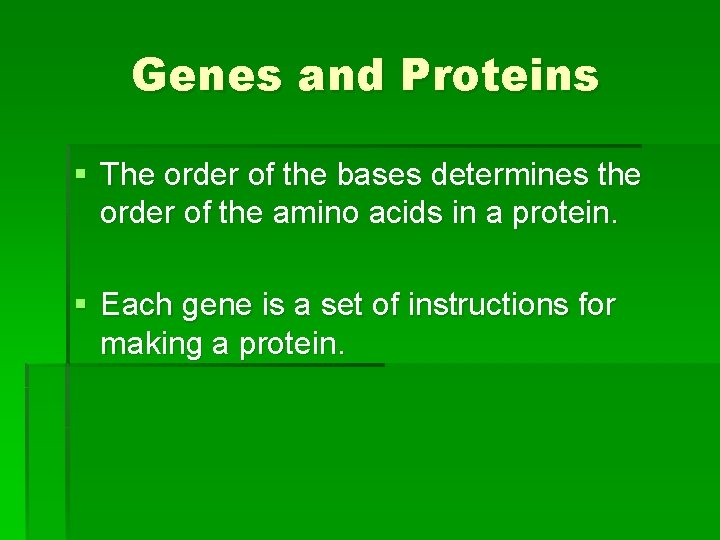 Genes and Proteins § The order of the bases determines the order of the