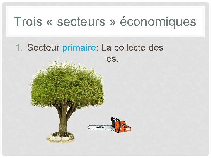 Trois « secteurs » économiques 1. Secteur primaire: La collecte des ressources naturelles. 