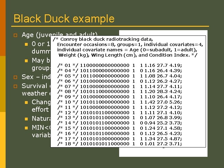 Black Duck example p p p Age (juvenile and adult) /* Conroy black duck Black Duck example p p p Age (juvenile and adult) /* Conroy black duck