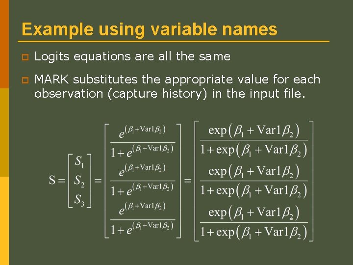 Example using variable names p Logits equations are all the same p MARK substitutes Example using variable names p Logits equations are all the same p MARK substitutes