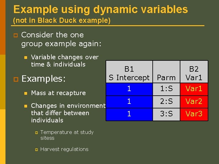 Example using dynamic variables (not in Black Duck example) p Consider the one group Example using dynamic variables (not in Black Duck example) p Consider the one group