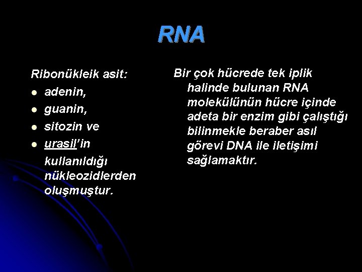 RNA Ribonükleik asit: l adenin, l guanin, l sitozin ve l urasil’in kullanıldığı nükleozidlerden