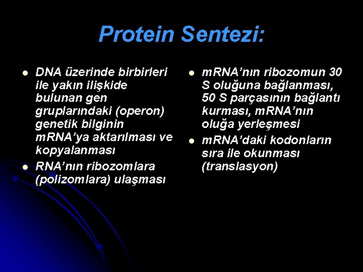 Protein Sentezi: l l DNA üzerinde birbirleri ile yakın ilişkide bulunan gen gruplarındaki (operon)