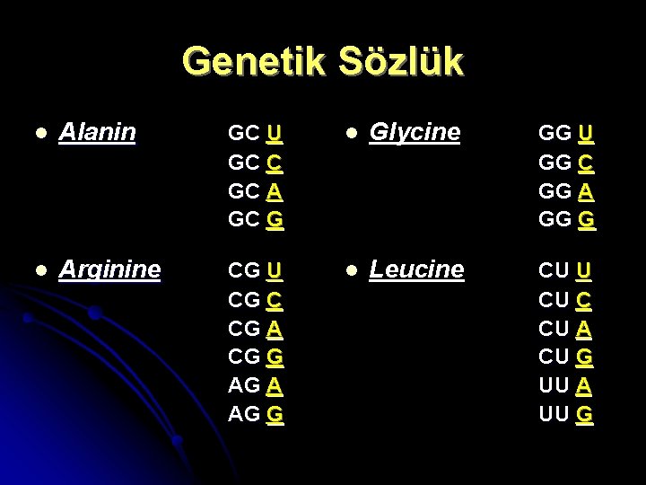 Genetik Sözlük l Alanin GC U GC C GC A GC G l Glycine