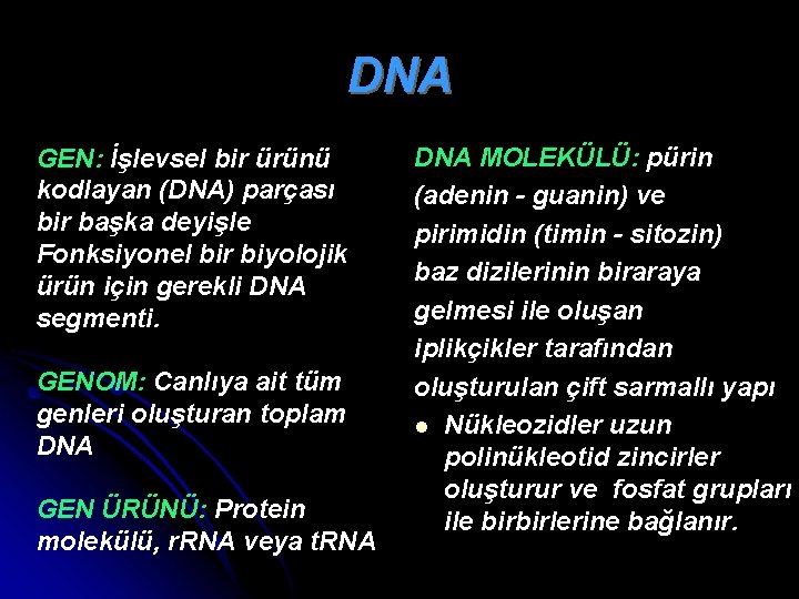 DNA GEN: İşlevsel bir ürünü kodlayan (DNA) parçası bir başka deyişle Fonksiyonel bir biyolojik