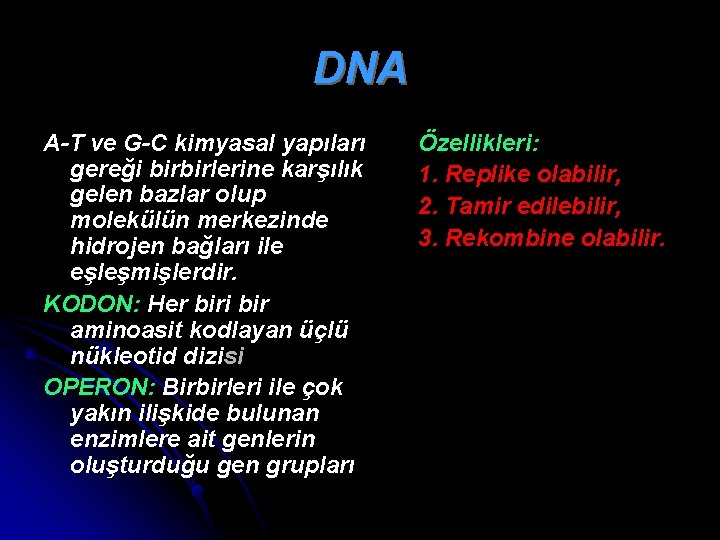 DNA A-T ve G-C kimyasal yapıları gereği birbirlerine karşılık gelen bazlar olup molekülün merkezinde