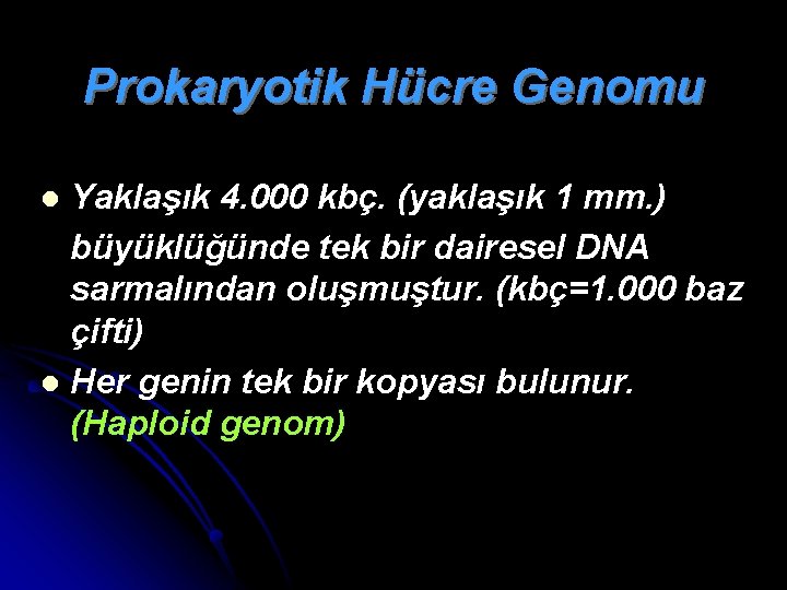 Prokaryotik Hücre Genomu Yaklaşık 4. 000 kbç. (yaklaşık 1 mm. ) büyüklüğünde tek bir