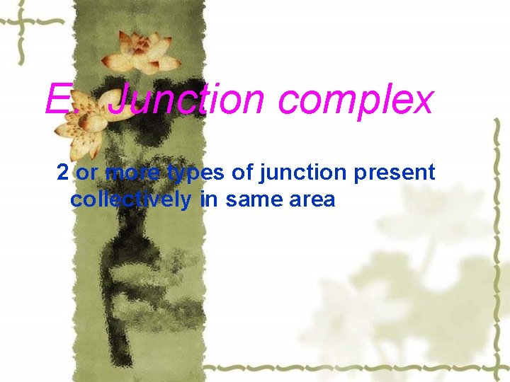 E. Junction complex 2 or more types of junction present collectively in same area