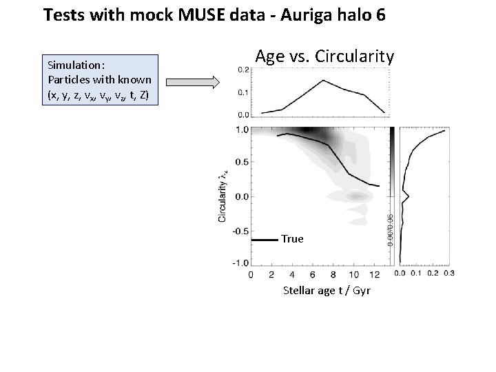 Tests with mock MUSE data - Auriga halo 6 Simulation: Particles with known (x,