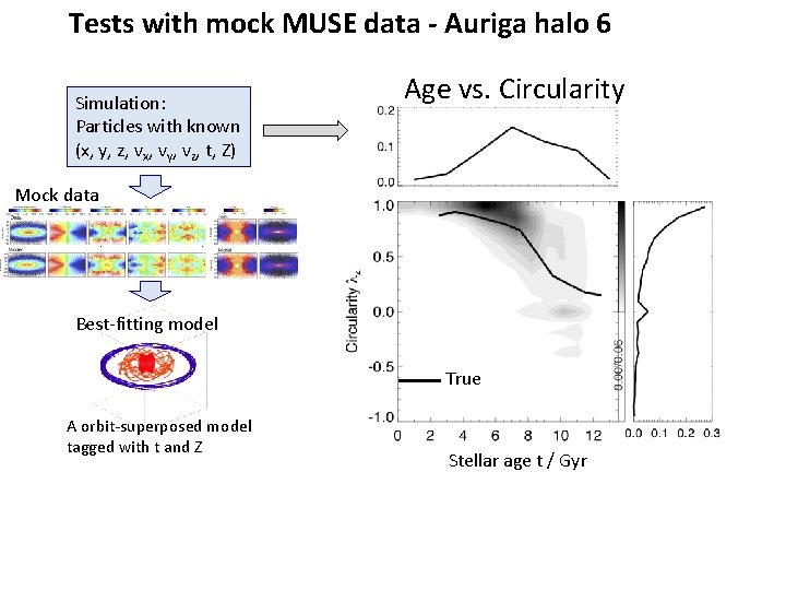Tests with mock MUSE data - Auriga halo 6 Simulation: Particles with known (x,